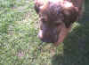 090420023.jpg (176172 Byte)