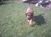 090420024.jpg (159733 Byte)