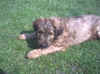 090420026.jpg (165193 Byte)