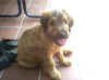 090420027.jpg (93170 Byte)