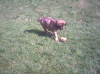 6april20021.jpg (156525 Byte)