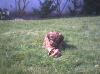 6april2002.jpg (155729 Byte)