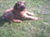 9april2002hallo.jpg (172553 Byte)