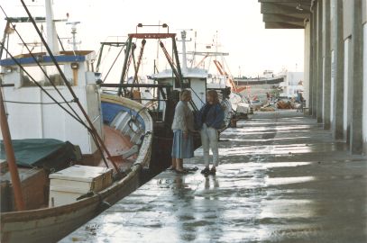 hafen.jpg (25709 Byte)
